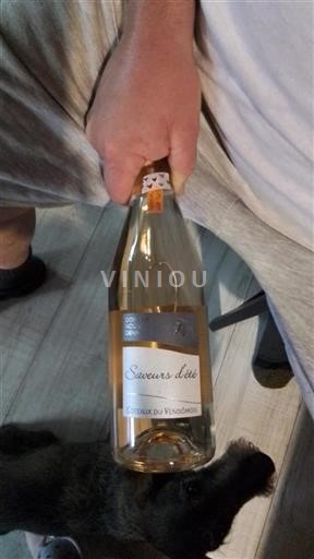 Valle della Loira Coteaux del Vendômois Domaine Nouvel Denis Saveurs d'été Senza annata