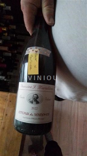 Valle della Loira Coteaux del Vendômois Domaine J. Martellière Balzac 2022