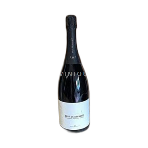 Vin Effervescent Blanc extra-brut Extra Brut Magnum Domaine W 2020 Belgique Wallonie Crémant de Wallonie AOC bio