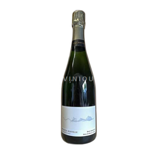 Šampanja Šampanjec Franck Bonville Blanc de Blancs - Avize Neleten.