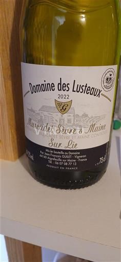 Loire Valley Muscadet Sèvre et Maine Domaine Des Lusteaux Sur Lie 2022