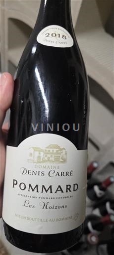 Borgoña Pommard Denis Carré Les Noizons 2018