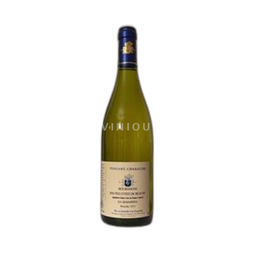 Borgogna Hautes Côtes de Beaune Vincent Charache Les Gravelieres 2021