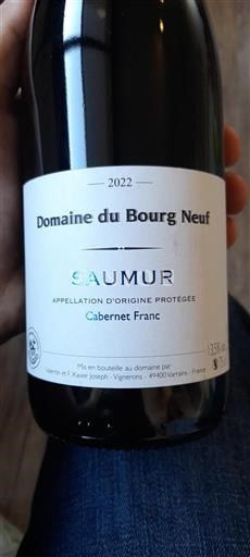 Valle della Loira Saumur Domaine Bourg Neuf Cabernet Franc 2022