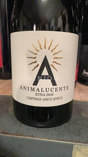 Sicilia Etna Contrada Santo Spirito Animalucente 2024