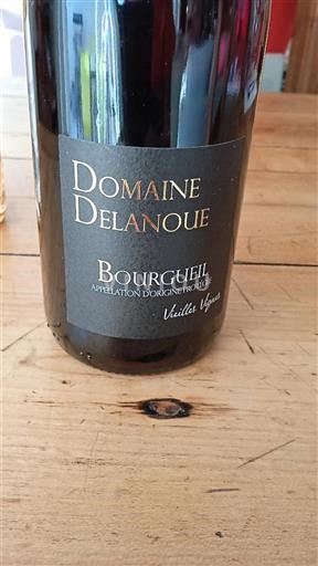 Valle della Loira Bourgueil Domaine Delanoue Vieilles Vignes Senza annata