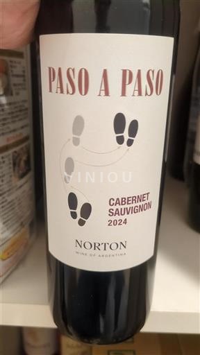 Mendoza Niet gespecificeerd Norton Paso a Paso 2024