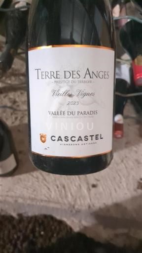 Languedoc og Roussillon Paradis-dalen Cascastel Terre des Anges Vieilles Vignes 2023