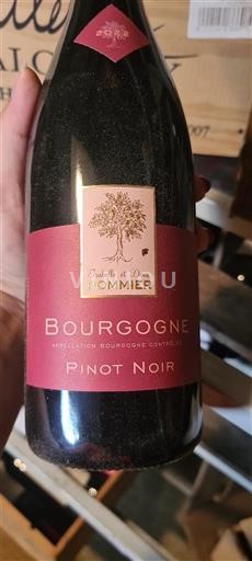 Bourgogne Isabelle et Denis Pommier 2022