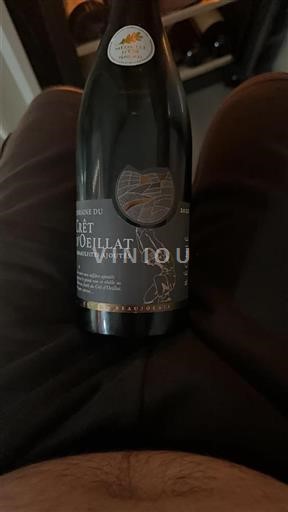 Beaujolais Régnié Domaine Crêt Oeillat 2022