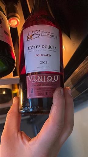Jura Côtes du Jura Domaine Des Bélémnites Poulsard 2022