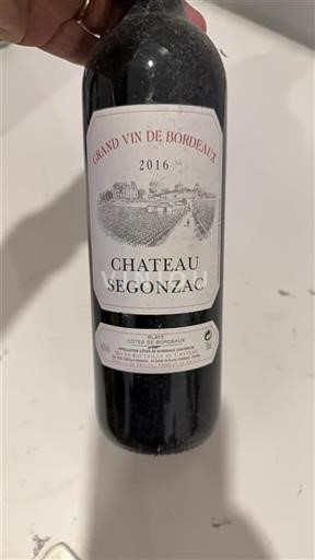 Bordeaux Blaye-côtes-de-bordeaux Château Segonzac 2016