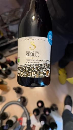 Languedoc Niet gespecificeerd Domaine Sibille L'Audacieuse 2023