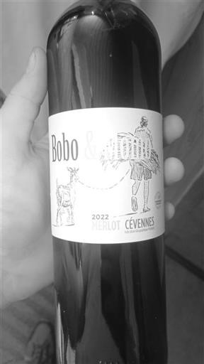 Languedoc et Roussillon Cévennes Bobo & Momo 2022