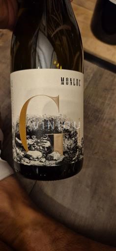 Jihozápad Côtes de Gascogne Monluc Gros Manseng 2023