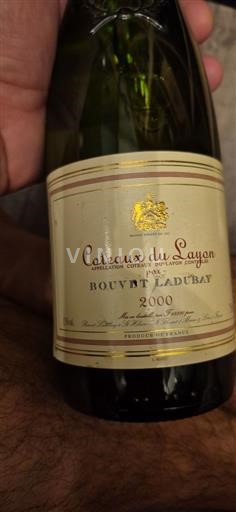Údolí Loiry Coteaux-du-Layon Bouvet Ladubay 2000