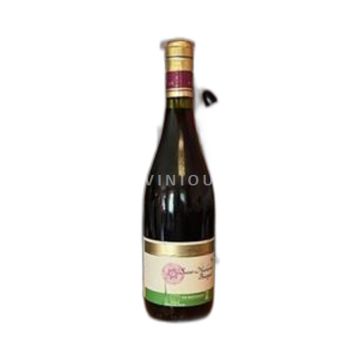 Údolí Loiry Saint-Nicolas-De-Bourgueil Club des Sommeliers 2021