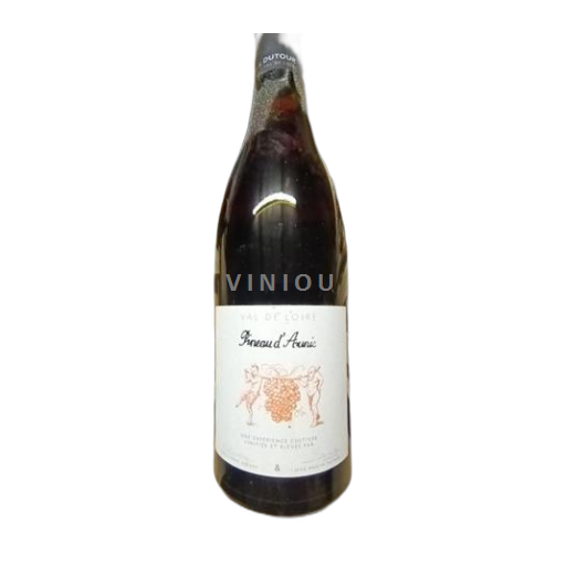 Vin Rouge sec ineau d'Aunis Christophe Baudry & Jean-Martin Dutour 2023 France Vallée de la Loire AOC