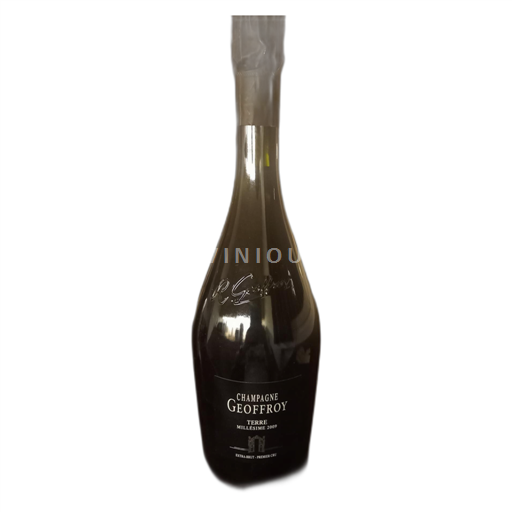 Champagne Geoffroy Terre 2009