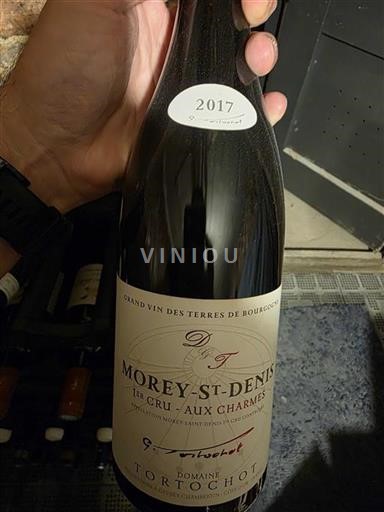 Borgogna Morey-saint-denis Premier Cru Domaine Tortochot 2017