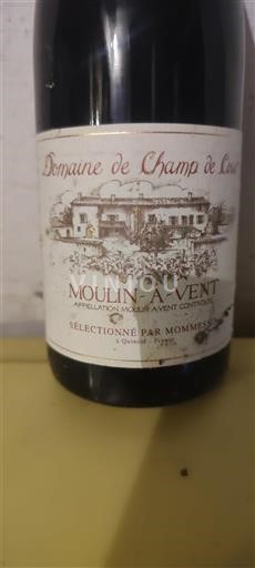 Beaujolais Moulin-à-vent Domaine Champ de Cour 2020