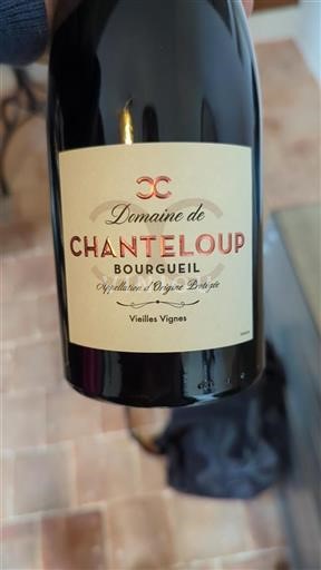 Vallée de la Loire Bourgueil Domaine Chanteloup Vieilles Vignes Non Millésimé