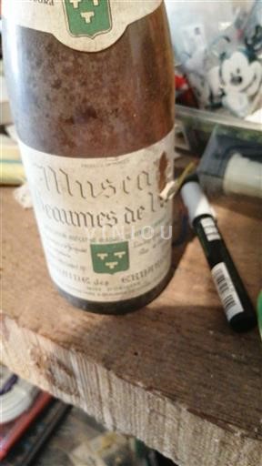 Údolí Rhôny Muscat de Beaumes de Venise Domaine Coyeux 2001