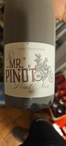Alsace Pinot Noir Mr. Pinot 2021