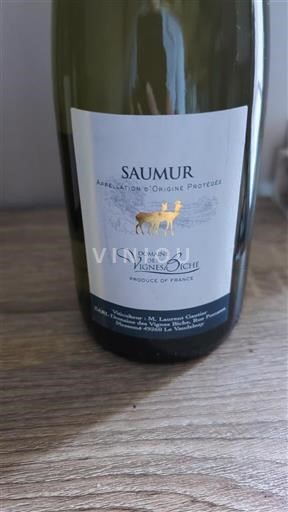 Valle della Loira Saumur Domaine Des Vignes Biche 2023