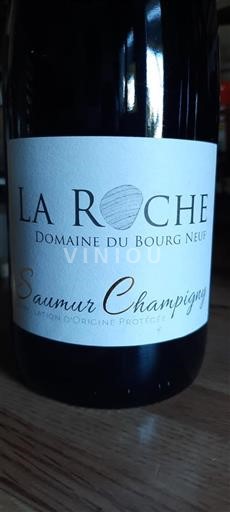 Vallée de la Loire Saumur-champigny Domaine Bourg Neuf La Roche Non Millésimé
