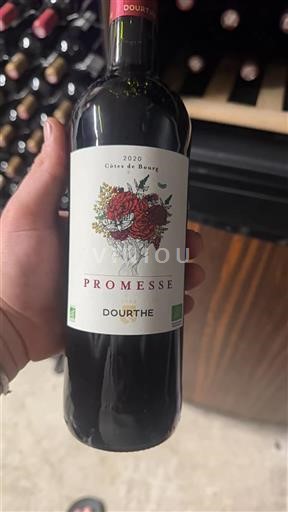 Bordeaux Côtes-de-bourg Dourthe Promesse 2020