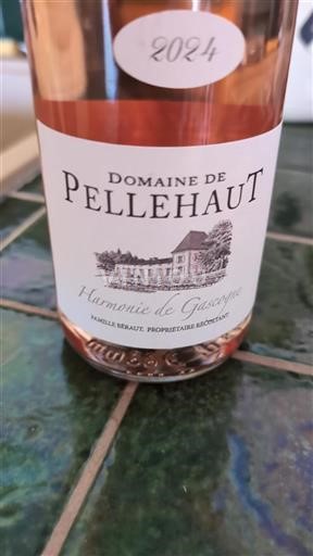 Sudoeste Não especificado Domaine Pellehaut Harmonie de Gascogne 2024