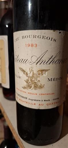 Bordeaux Moulis-en-Médoc Cru Bourgeois Château Anthonic 1983