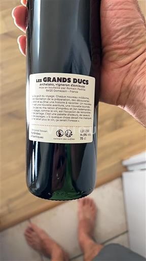 South West Côtes de Gascogne Archelao Les Grands Ducs 2023
