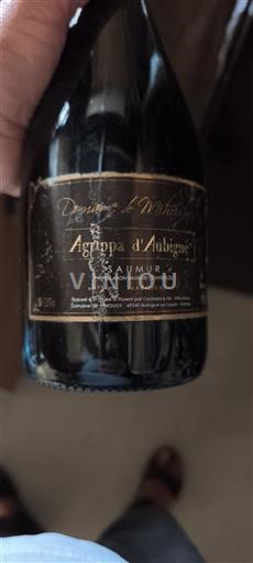 Valle della Loira Saumur Domaine Mihoudy Agrippa d'Aubigné Senza annata