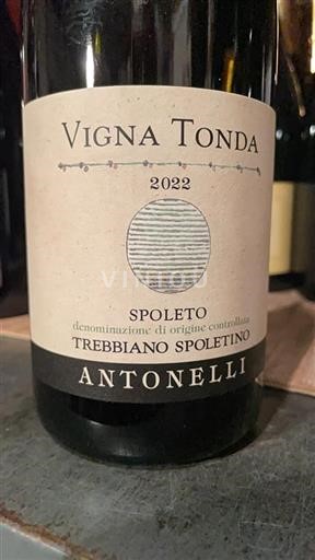 Umbria Spoleto Antonelli Vigna Tonda 2022