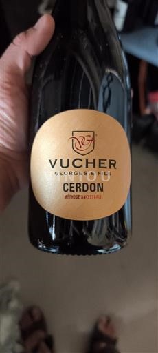 Borgogna Corton Vucher Georges & Fils Senza annata
