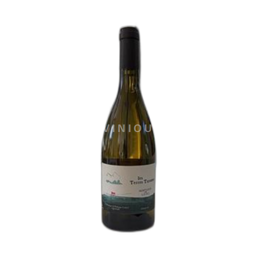 Valle della Loira Montlouis-sur-Loire Dominique & Philippe Ivancic Les Terres Turones 2023