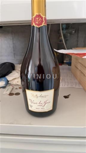 Borgogna Crémant di Borgogna Bailly Lapierre Vive-la-Joie 2021