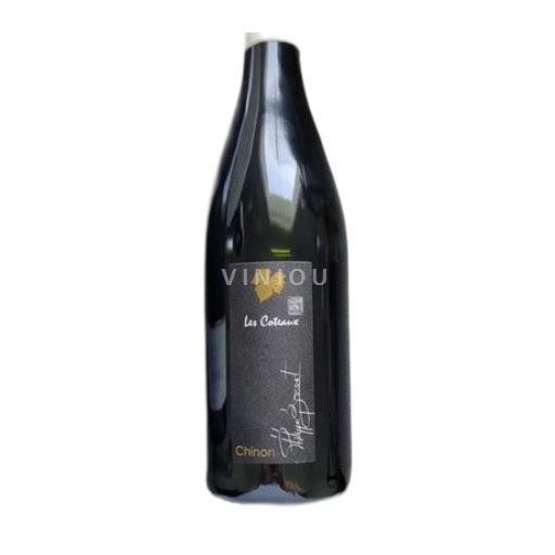 Loire Valley Chinon EARL Bocourt Terroir : Les Coteaux 2023