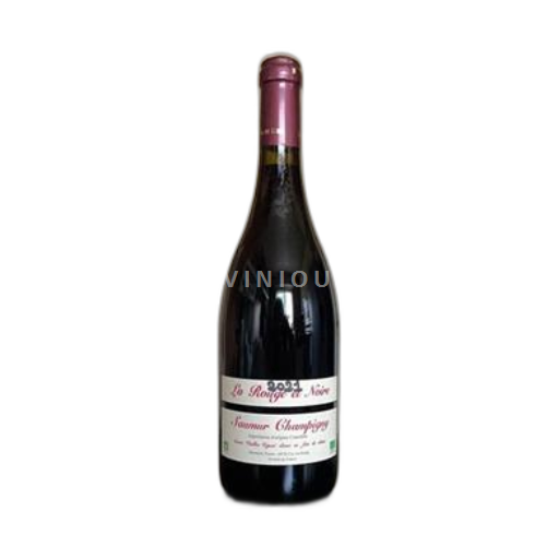 Vallée de la Loire Saumur-champigny Domaine Fouet Saumur Champigny 2021