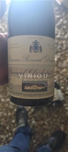 Bourgogne Pommard Premier Cru Domaine Bernard Delagrange Pommard Chanlains 1er Cru 2013