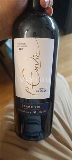 Bordeaux Montagne Saint-Émilion Franck Despagne Envie 2019