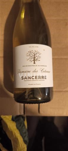 Loire Valley Sancerre Domaine Des Coteaux Non-Vintage