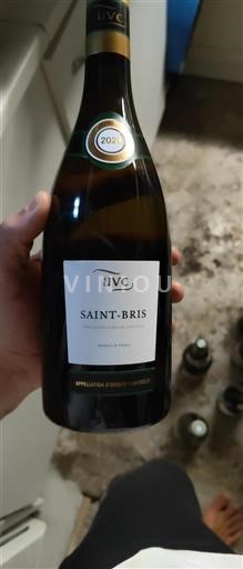 Borgogna Saint-Bris UVC 2020