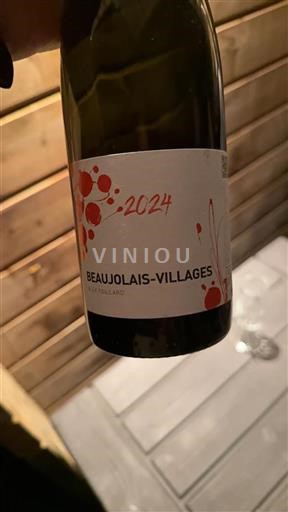Beaujolais Beaujolais Villages Alex Foillard 2024