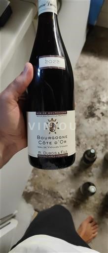Burgundsko Burgundsko Côte d'Or R. Dubois & Fils Issu de Vieilles Vignes 2022