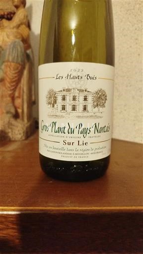 Údolí Loiry Gros-plant-du-pays-nantais Les Hauts Buis 2022