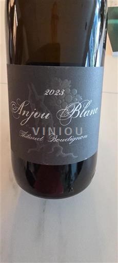 Vallée de la Loire Anjou Thibaud Boudignon 2023