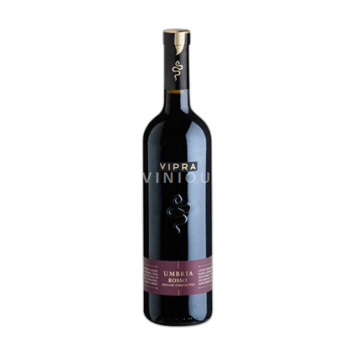 Umbria Amelia Gruppo Italiano Vini Vipra 2023